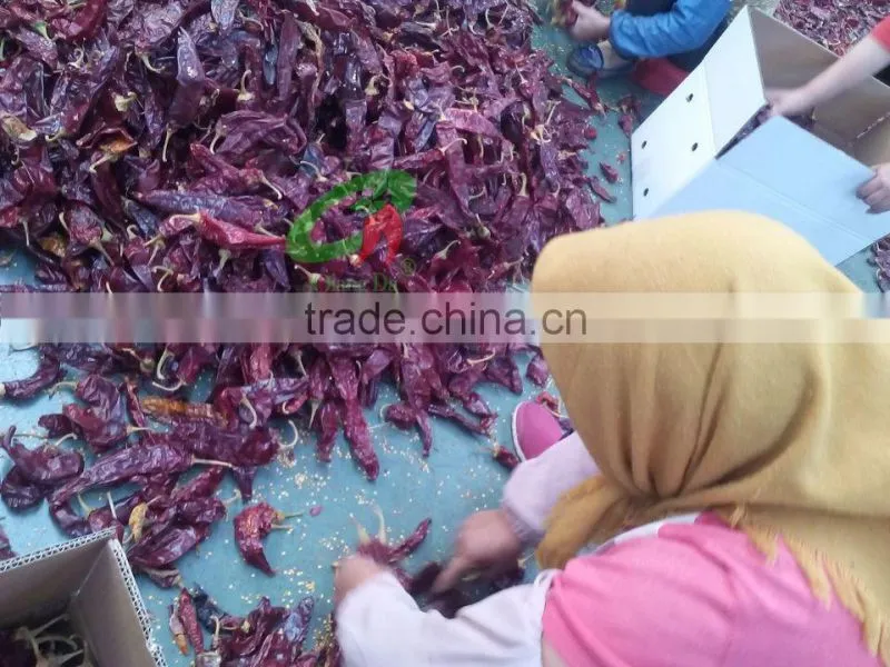 2015 Paprika box Best Grade Paprika Pods