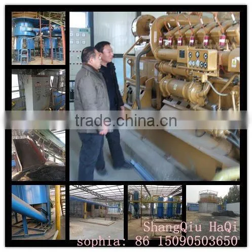 Palm trees gasification power generation plant