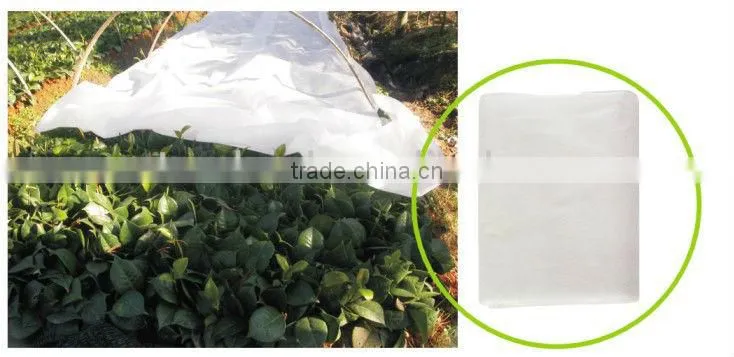 plastic film LY-H1002