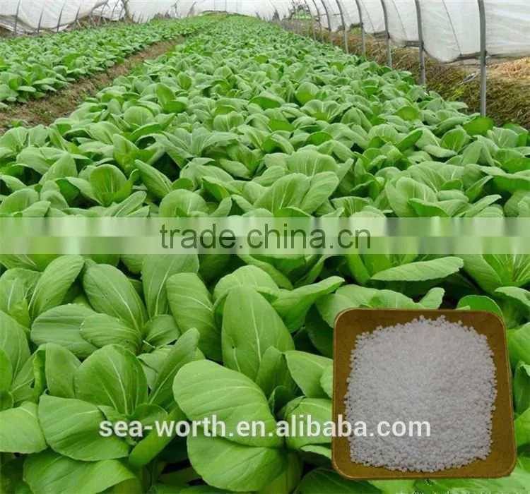Daily ammonium nitrate fertilizer in uzbekistan for wholesales