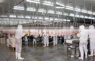 halal meat processing machine for chicken