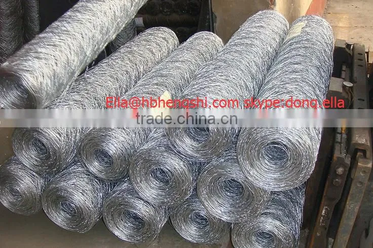 Hexagonal Mesh/Hexagonal Wire Mesh