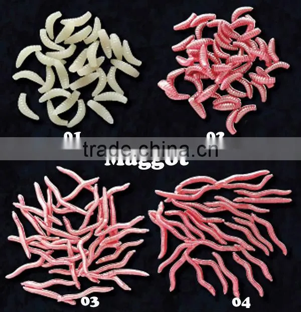 carp fishing terminal tackle carp fishing maggot bait