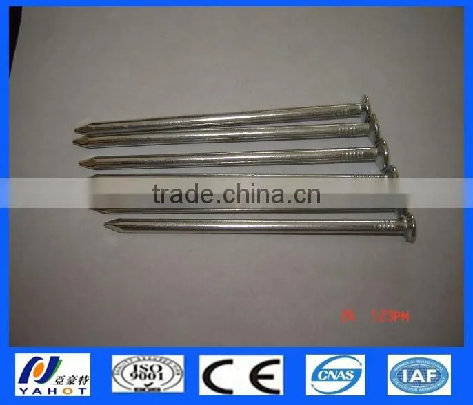 Galvanzied Concrete Steel Nails