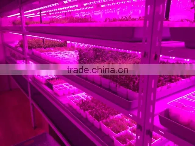 Best seller 20w led grow tube growing led light use in amsterdam