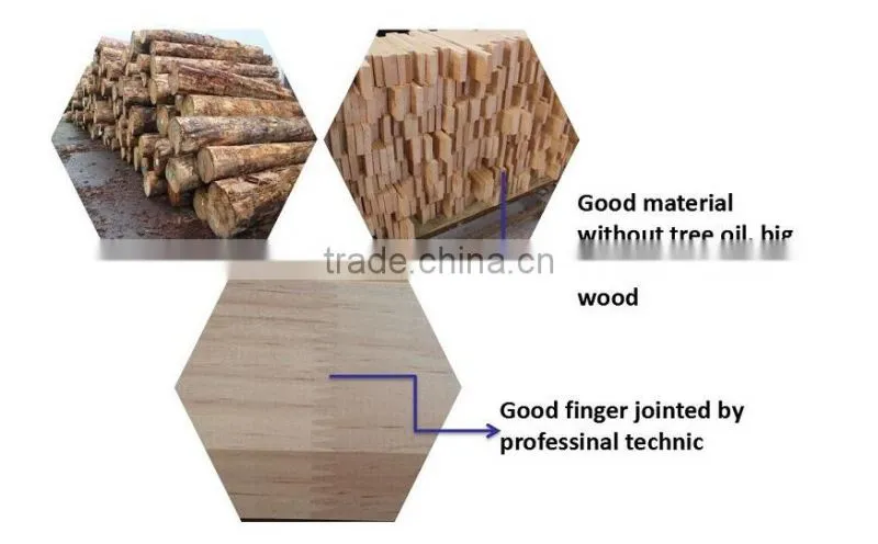 paulownia wood board/paulownia timber