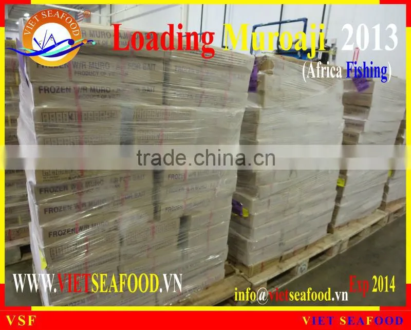 LOADING MUROAJI FOR TUNA BAIT