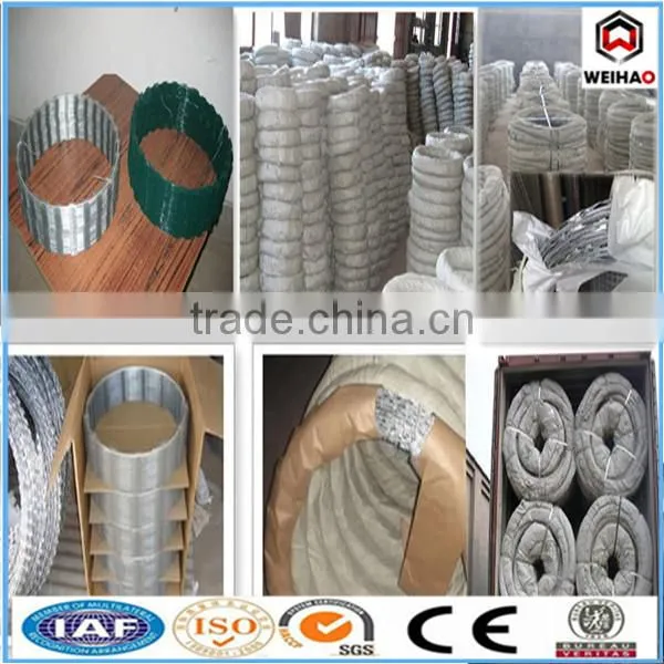 Concertina coil razor barbed wire 15 years manufacturer