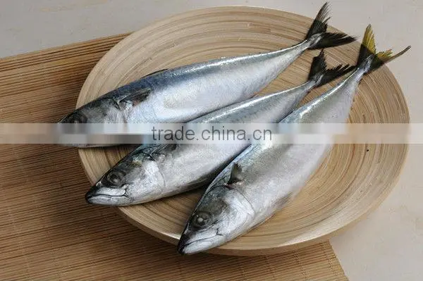 Among meat raw materials processing