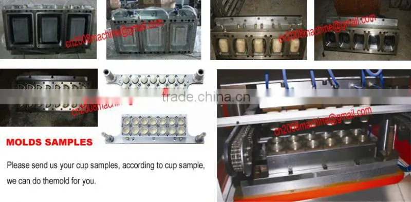 WENZHOU Making Machine For Plastic Cup
