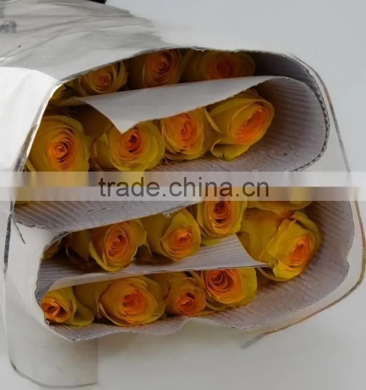 Excellent quality Yellow Crown yellow big rose flower