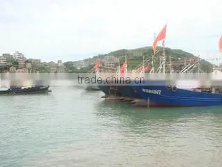 Ningbo Blue Whale Import & Export Co., Ltd. company overview - view 1
