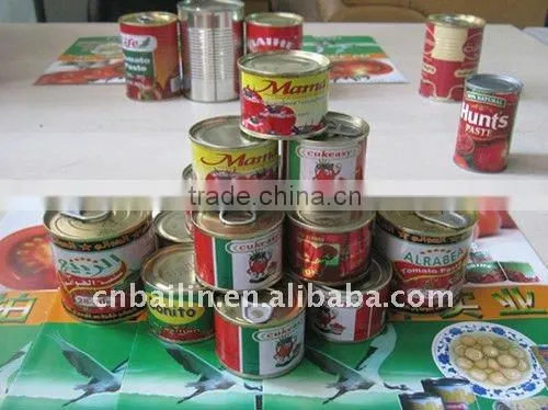 1000g brix28-30 gino fresh pasta seasoning for Africa easy open lid