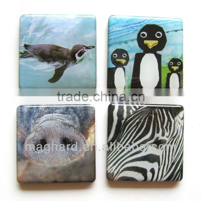 epoxy magnet set
