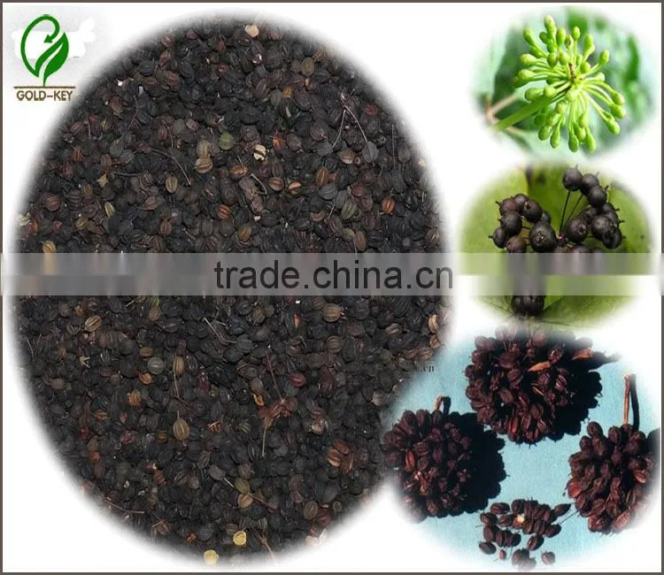 High Quality Siberian Ginseng Extract for Long Time Sex