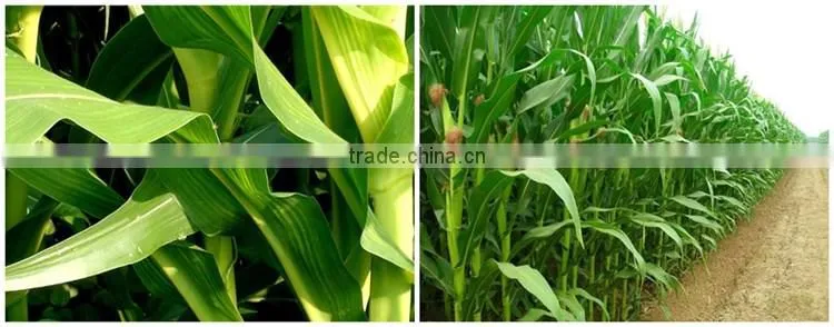 Huminrich Granular State And Other Fertilizers Classification Lignite Humic Acid