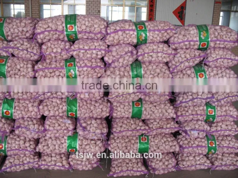chinese normal garlic