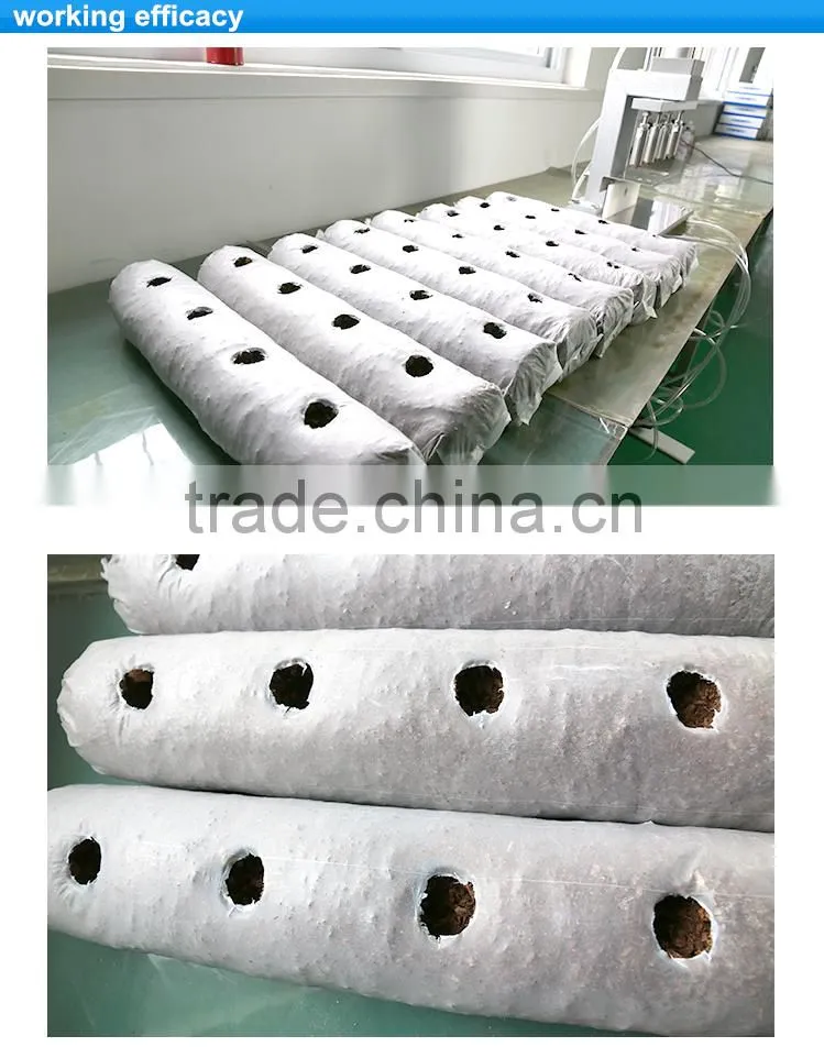 Mushroom machines series make hole punch factory direct sale