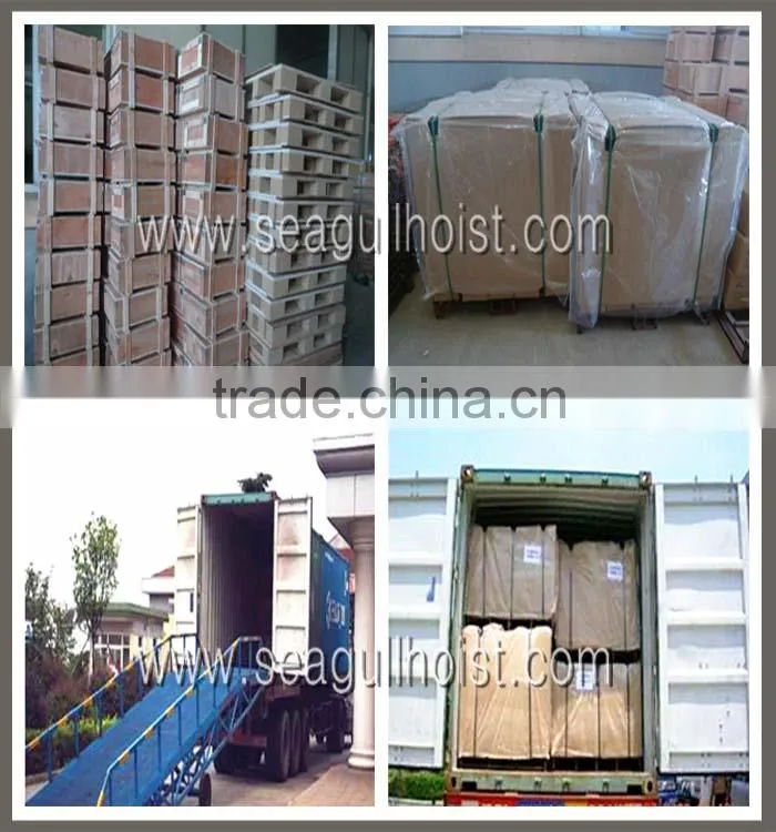 HHXG3 DOUBLE SUSPENDED TYPE THREE PHASE ELECTRIC,mini electric hoist 1000kg