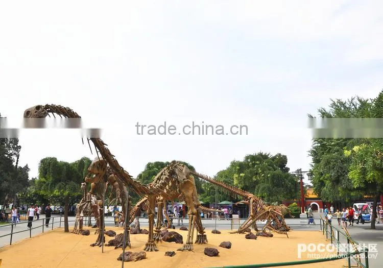 The dinosaur skeleton exhibition