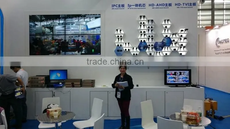 IW-P3062GY Intelligent IP Motion Detection Camera