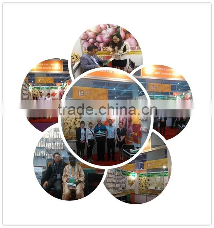 new crop China fresh golden pear for sale