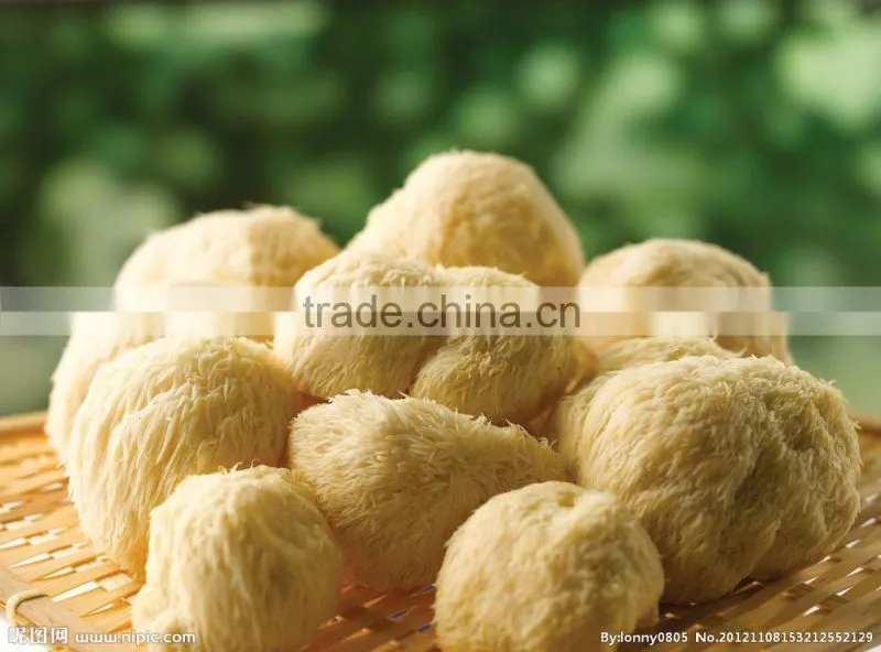 Dried Hericium Erinaceus Mushroom, Monkey Head Mushroom