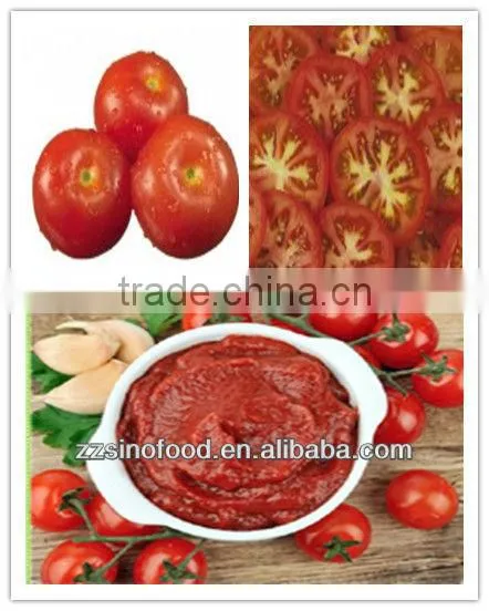 Fresh Tomato Canned Tomato Paste for Canned Metal Tins Canned Food