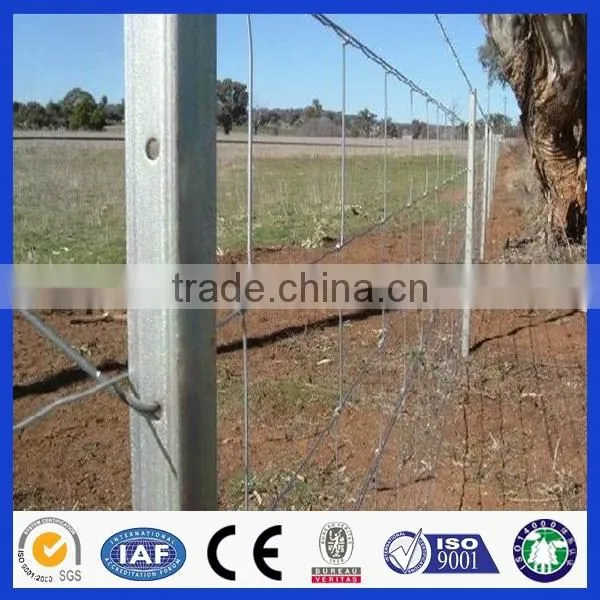 High quality hot dip galvanized veld span fence/deer fence net (Deming factory, ISO900 certificate)