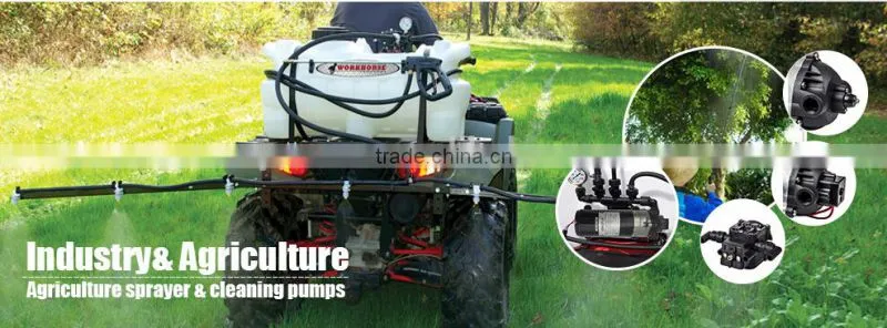 FLO-2203 70PSI Micro agriculture battery sprayer pump