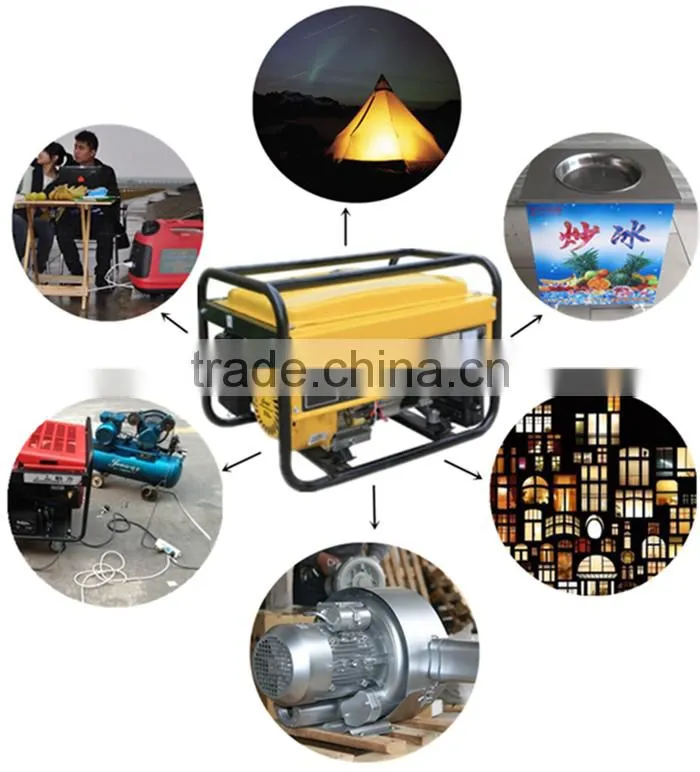 BLM950 gasoline generator