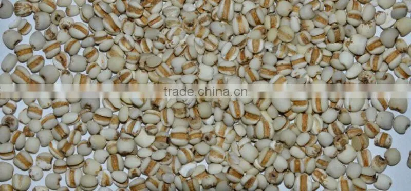 Best Sale Grain Color Sorter Machine For Cumin/Cardamom/Myotonin Color Sorting