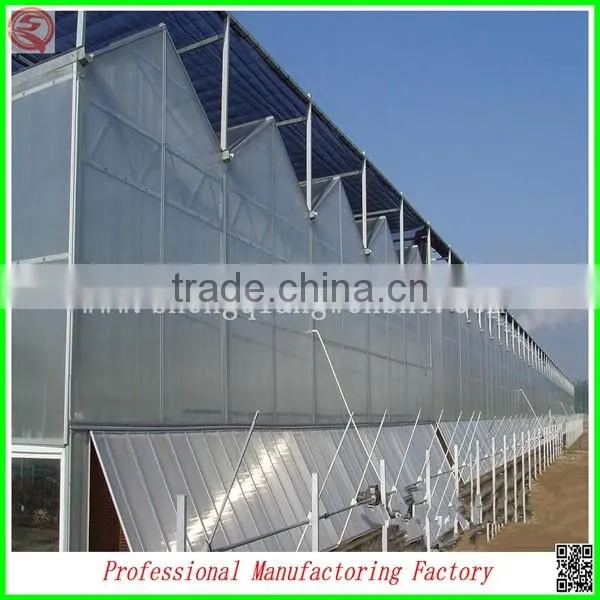 China Venlo polycarbonate sheet greenhouse with vegetable seeds