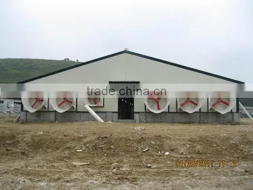2625 m2 steel structure chicken house in Ukraine