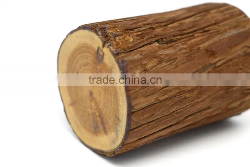 Wood Stump Pen Holder , Nature Wooden Pencil Holder , Eco-Friendly Pen Holder