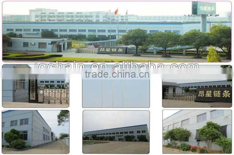 China wholesale overhead conveyor chain