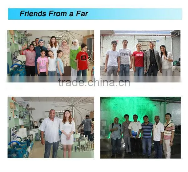 Wholesale high quality electric swimming pool heater