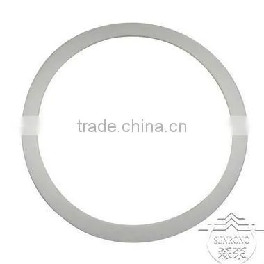Ring gasket seal gasket