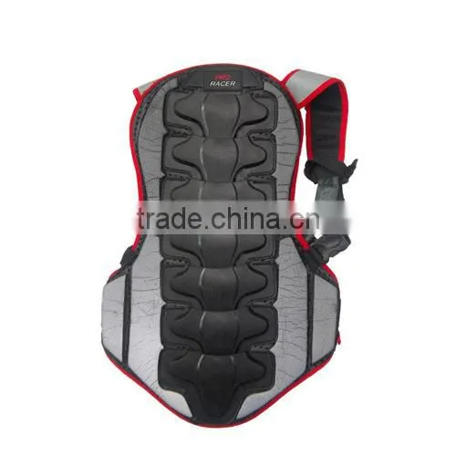Motorcycle Back Guard