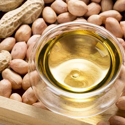 Hydraulic Oil Vegetable Oil Edible Oil Pressing Machine Cold & Hot Pressing Machine
