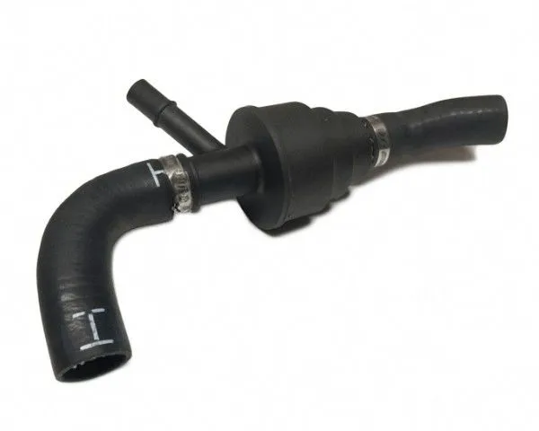 图片382.jpg.webp