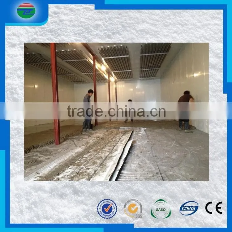 New products best Choice low temperature cold room/cold storage for fish