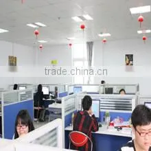 Taizhou Sudong Power Generating Equipment Co., Ltd. company overview - view 2