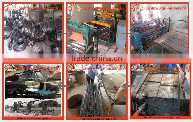 high quality hot sale cheap hot dipped galvanized wire mesh broiler wire cage