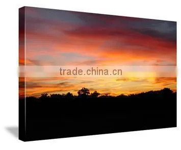Photo canvas Prints