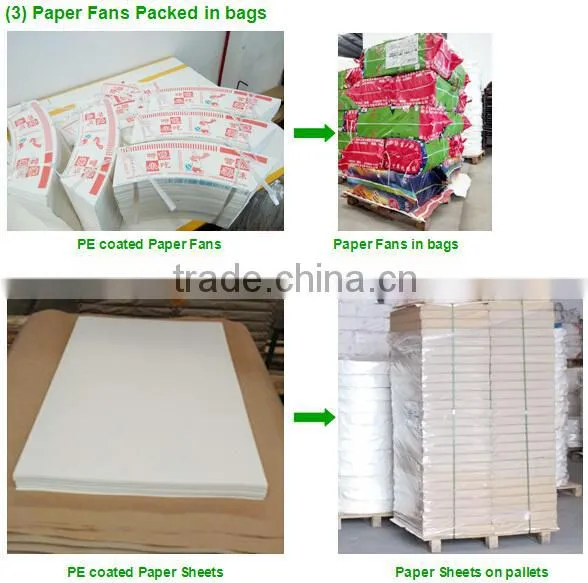 pe coated paper in sheet