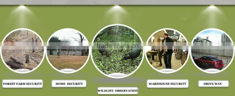 highly sensitive Passive Infra-Red sensor Security Camera Outdoor