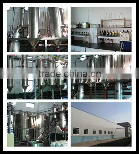 Hot sale Hydroxy citric acid 50%