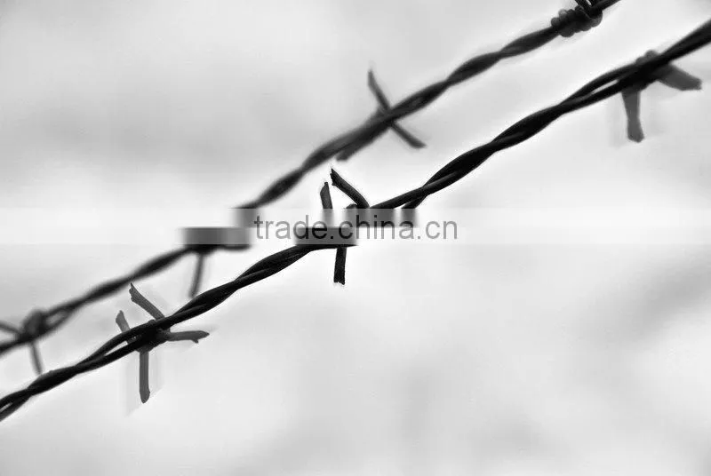 Hot Popular Low Price Galvanized Barbed Wire