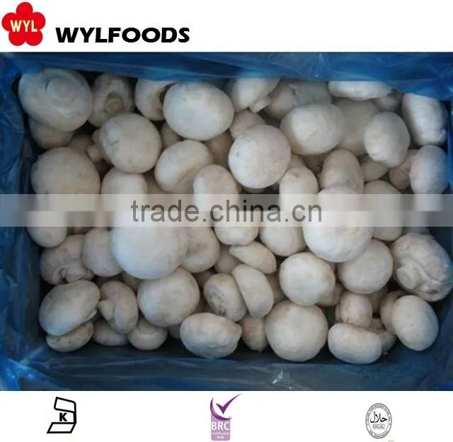 IQF china price for frozen Champignons whole 2015 high quality